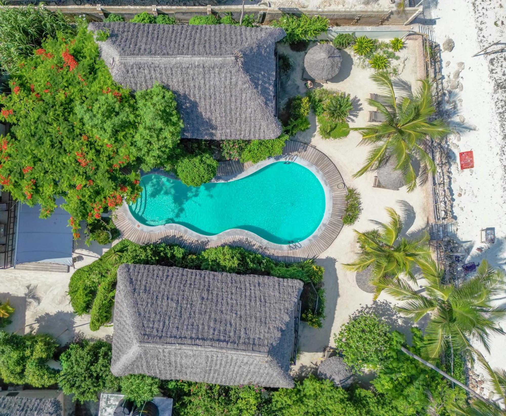Willa Jambiani Villas *